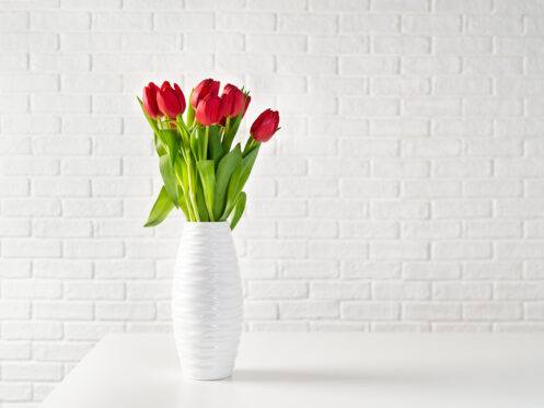 X Valentine’s Day Tips for Creating a Cozy Atmosphere with Your HVAC